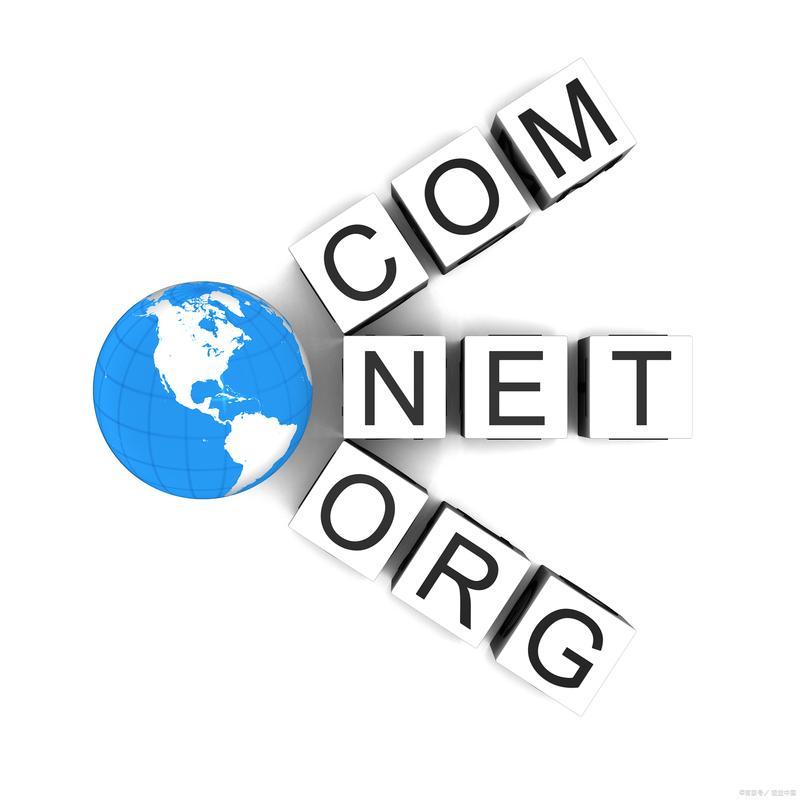 软件定制开发：构建业务与技术的完美桥梁